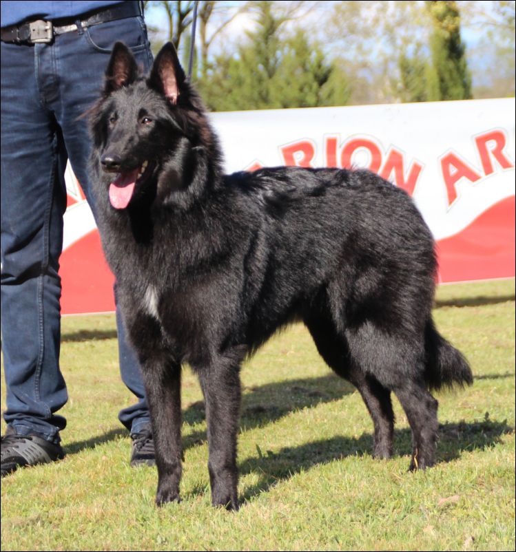 1-mis belle des etancs sauvages